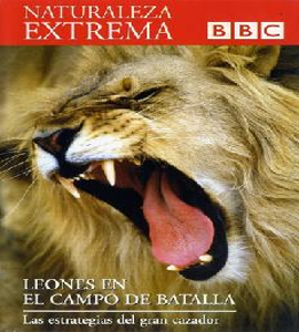 BBC - Naturaleza Extrema - Leones en el Campo de Batalla