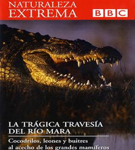 BBC - Naturaleza Extrema - La trágica travesia del río Mara