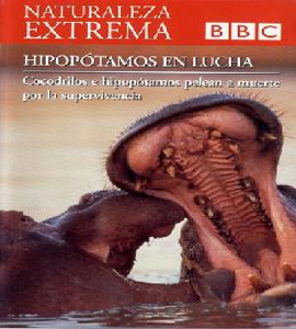 BBC - Naturaleza Extrema - Hipopótamos en Lucha