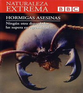 BBC - Naturaleza Extrema - Hormigas Asesinas