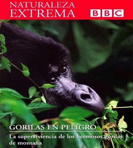 BBC - Naturaleza Extrema - Gorilas en Peligro