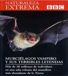 BBC - Naturaleza Extrema - Murciélagos Vampiro y sus terribles leyendas