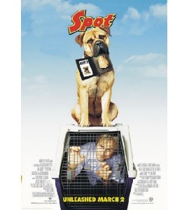 See Spot Run