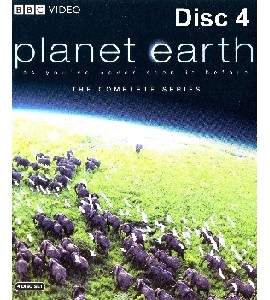 Blu-ray - planet earth - The Complete Series - Disc 4 Blu-ray - planet earth - The Complete Series - Disc 4
