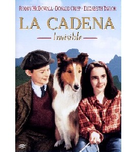 Lassie Come Home