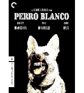 White Dog