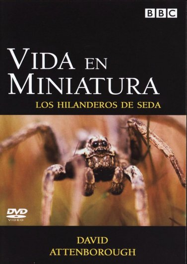 Life in the Undergrowth - 3 - The Silk Spinners