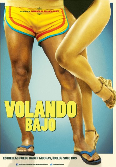 Volando bajo
