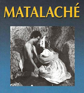 Obra Literaria - Matalache