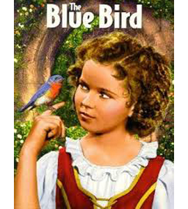 The Blue Bird