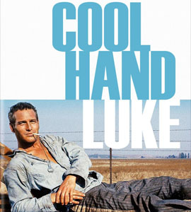 Cool Hand Luke