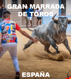 Gran marrada de toros-España