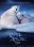 To the Arctic 3D