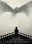 Blu-ray - Game of Thrones - Season 4 - Disc 2