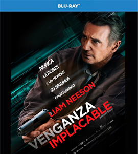 Blu - ray  -  Honest Thief