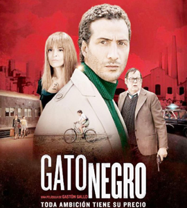 Gato negro